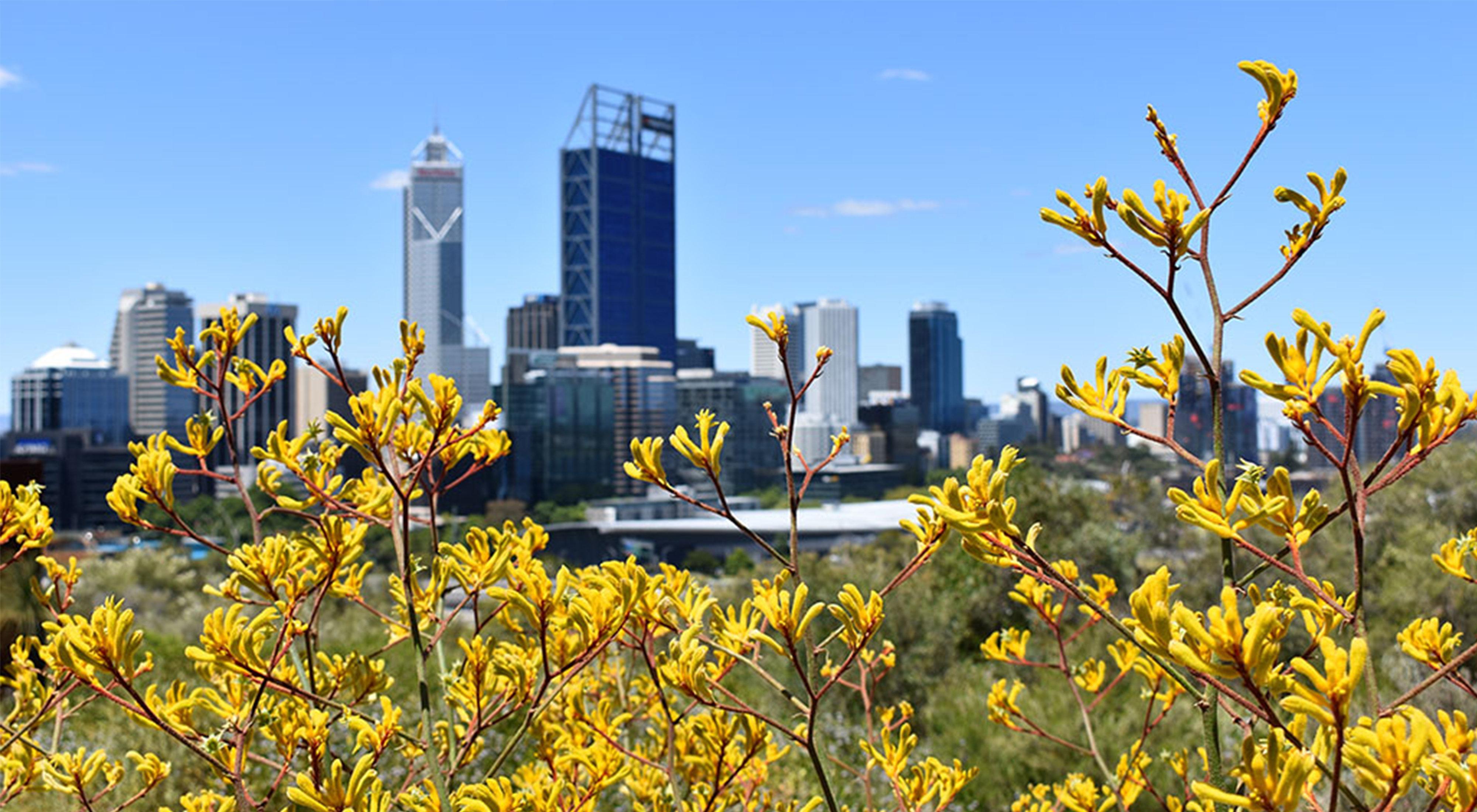 Holiday Inn Perth City Centre By Ihg Exteriör bild